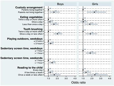 Social-Emotional Problems Among 3-Year-Olds Are Associated With an Unhealthy Lifestyle: A Population-Based Study